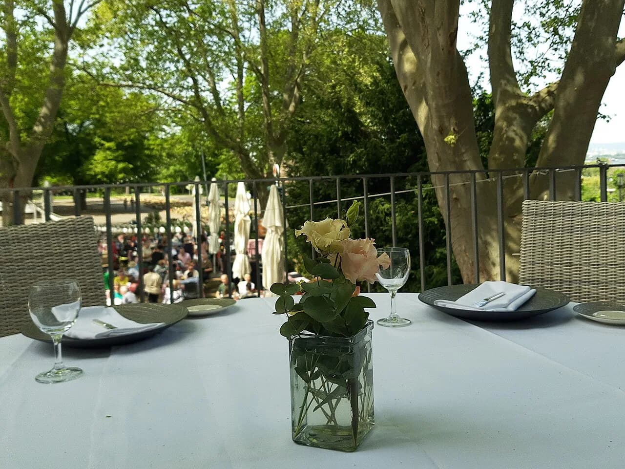 Beer Gardens in Mainz: Where to Sit and What to Order