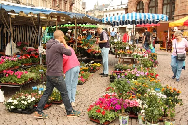 Breakfast in Wiesbaden: Cafés for Brunch and Morning Plates