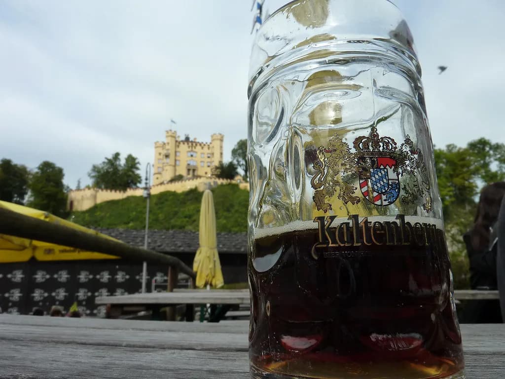 Dunkel Beer: What It Is, How It Tastes and What to Order