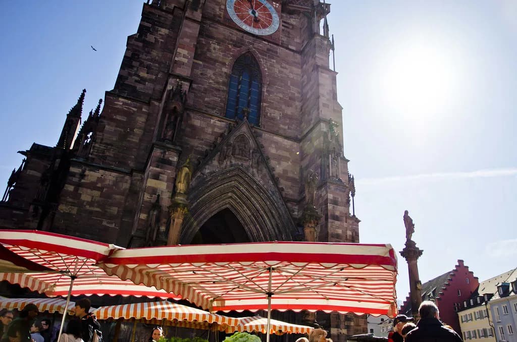 Freiburg Food Tours: Which to Choose and How to Go Solo