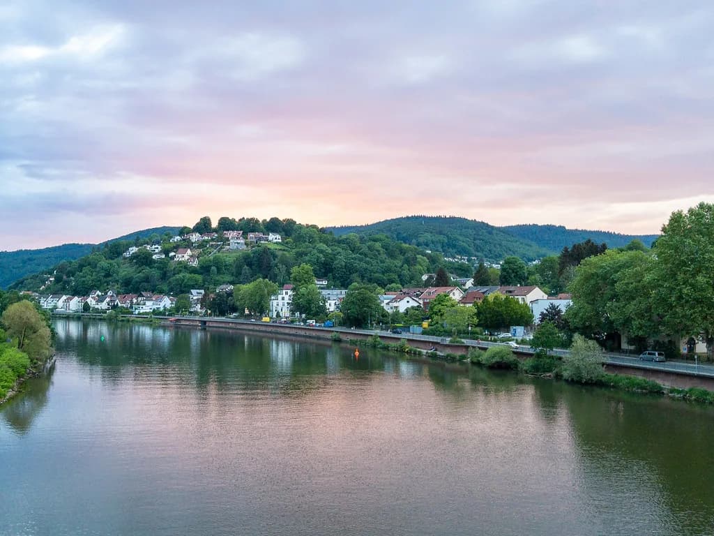 Cooking Class Heidelberg: Which Option Suits You