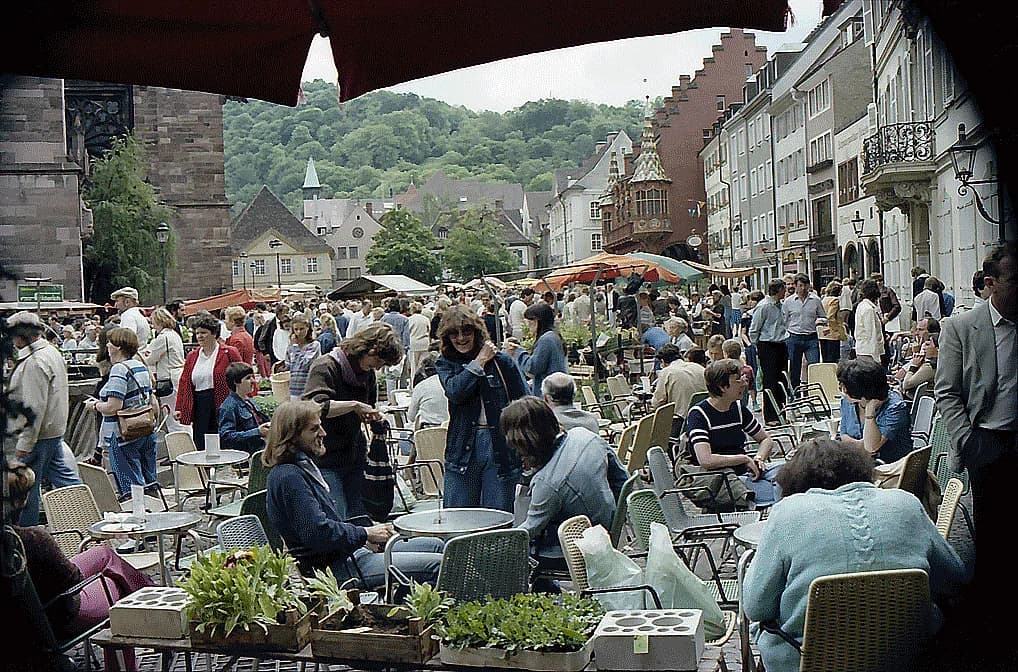 Ice Cream in Freiburg: Where to Go for a Scoop