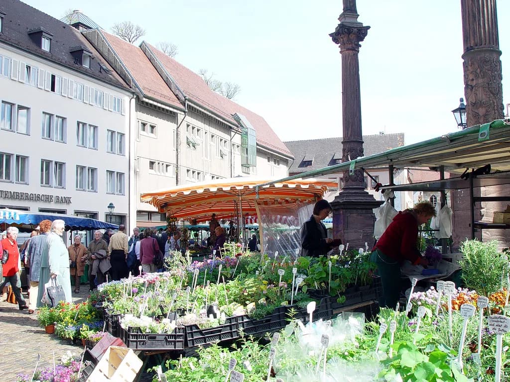 Martinsbräu Freiburg: Brewpub Under the Markthalle