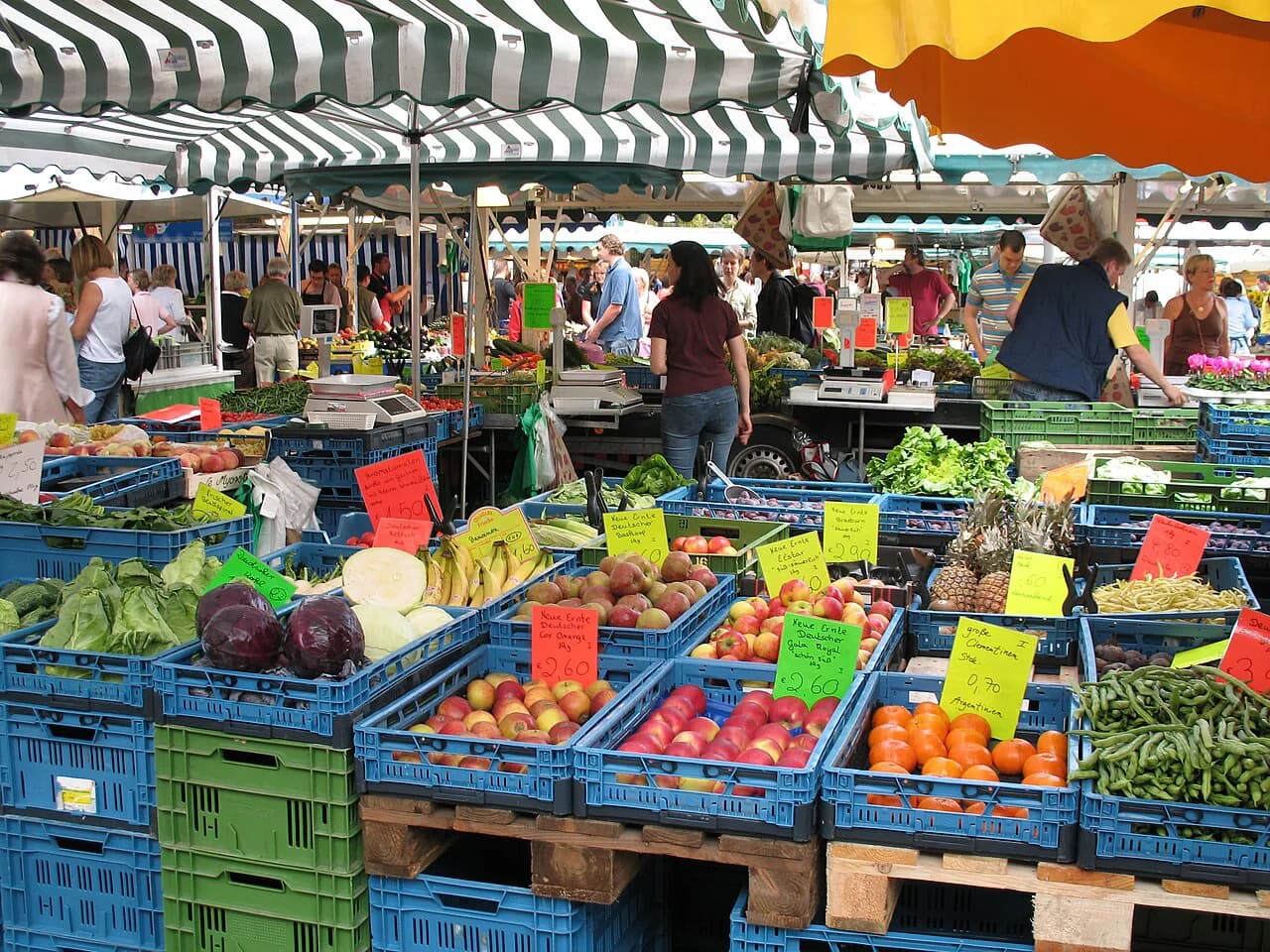 Münster Farmers Markets: What to Buy and Where