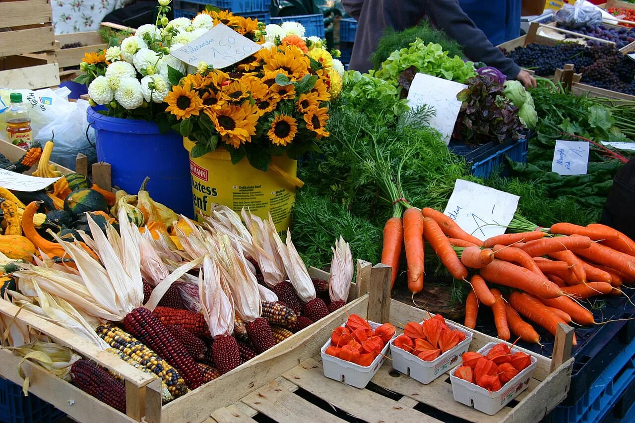 Street Food in Freiburg: What to Eat and Where
