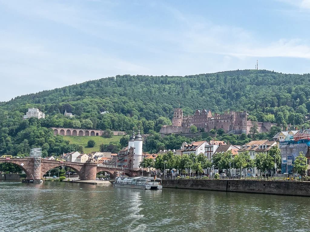 Street Food Heidelberg: What to Order at Markets & Trucks