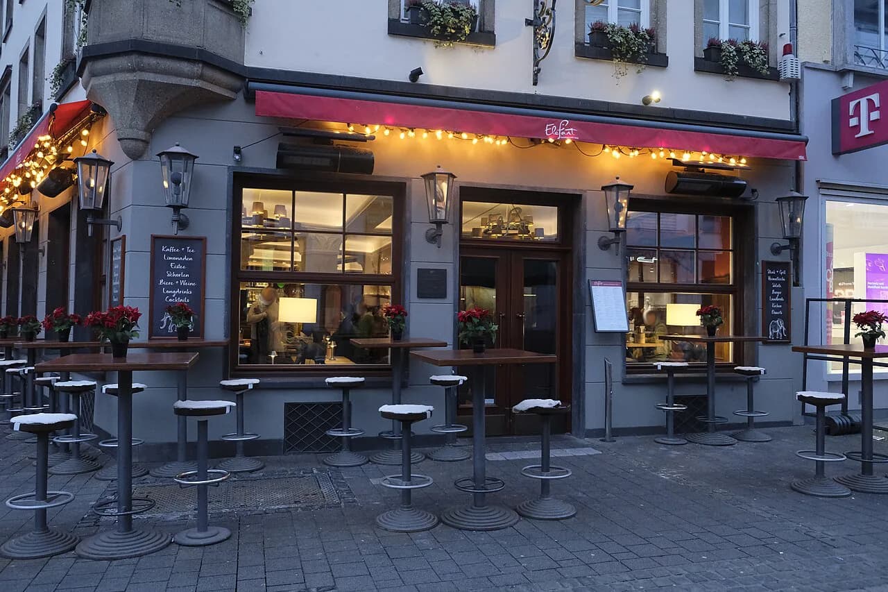 Vegan in Bonn: Where to Eat Meat-Free and What to Order