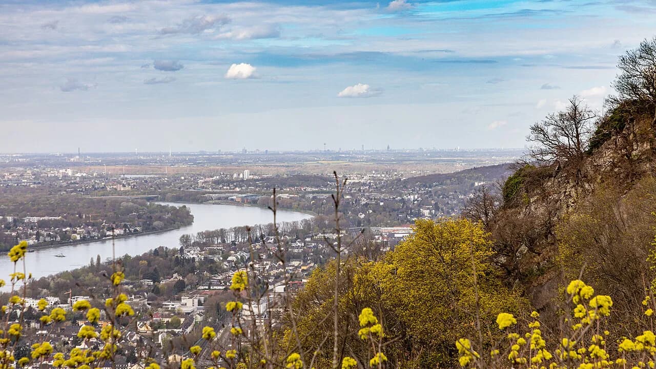 What to Eat in Bonn: Rhenish Dishes and Where to Find Them