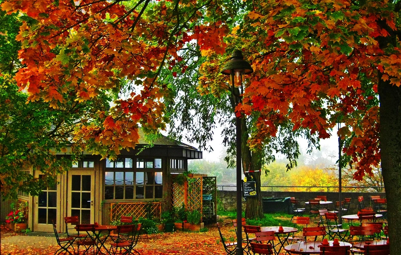 Autumn colors over the beer garden at Marienberg Fortress, Würzburg.