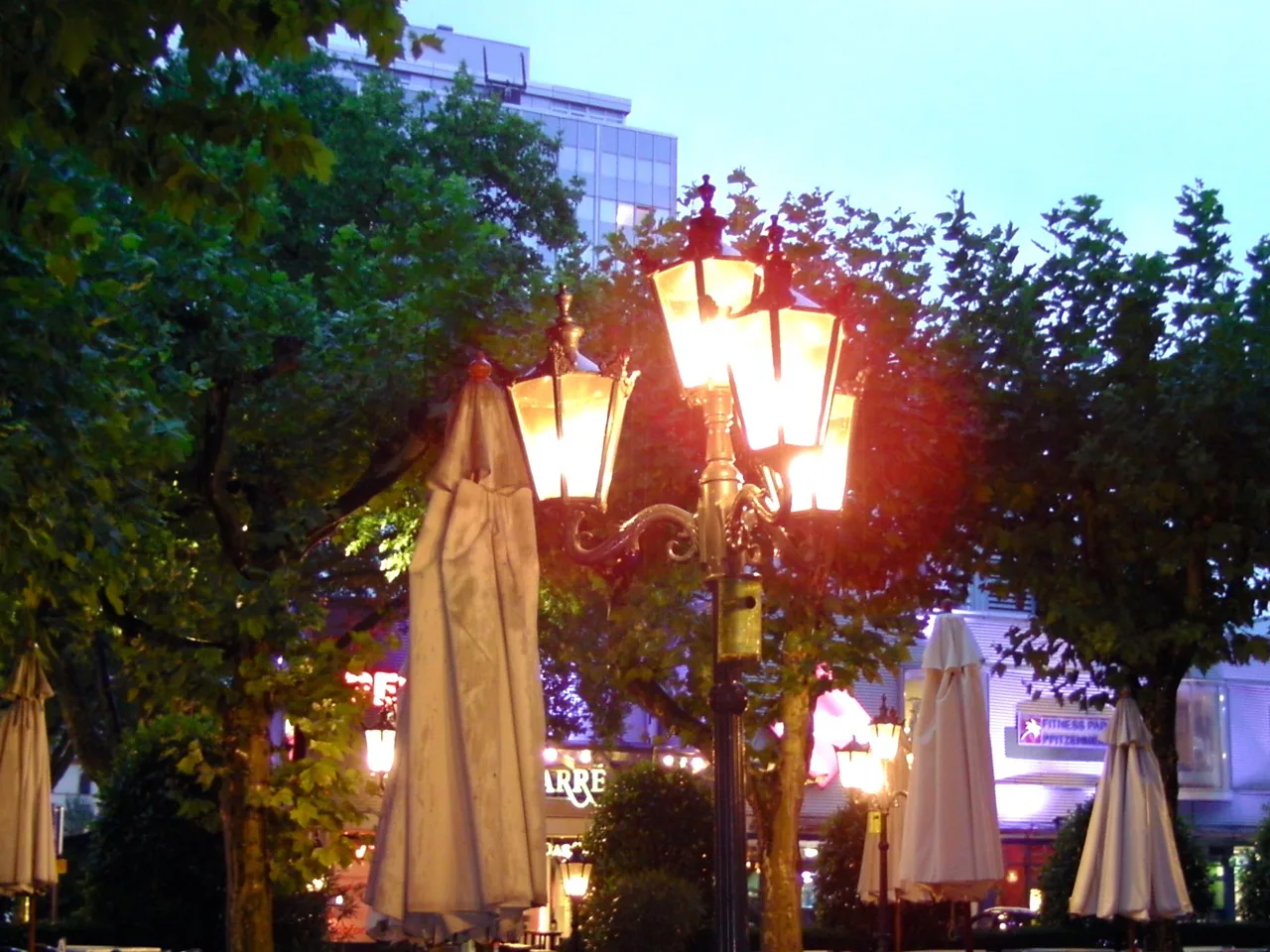 Café Rossi's terrace at twilight, Heidelberg.