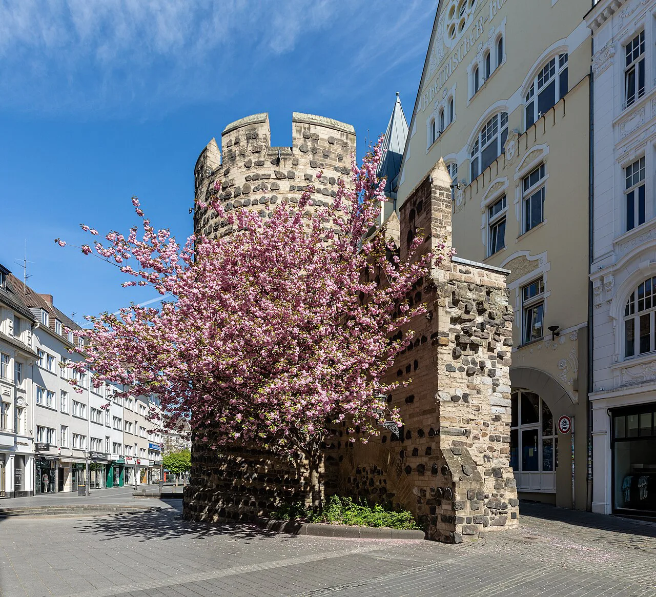 The Sterntor, Bonn's last surviving city gate, with blossoming trees, Bonn.