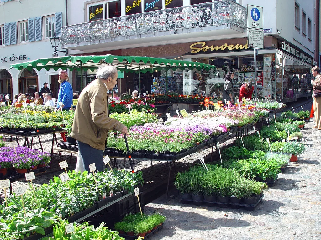 Flower and plant stalls at the market in Freiburg.