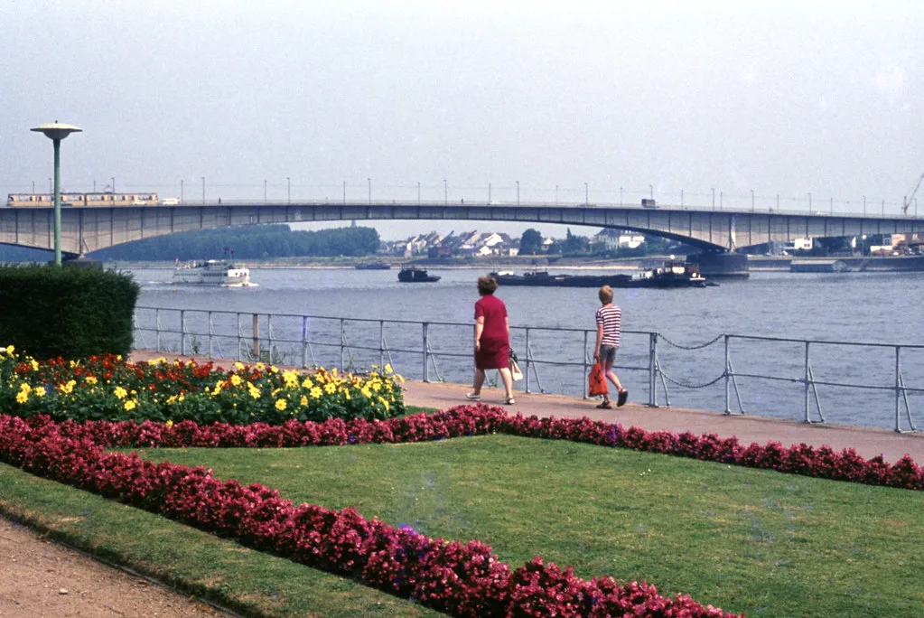 Flower beds on the Rhine promenade with the Kennedy Bridge behind, Bonn.