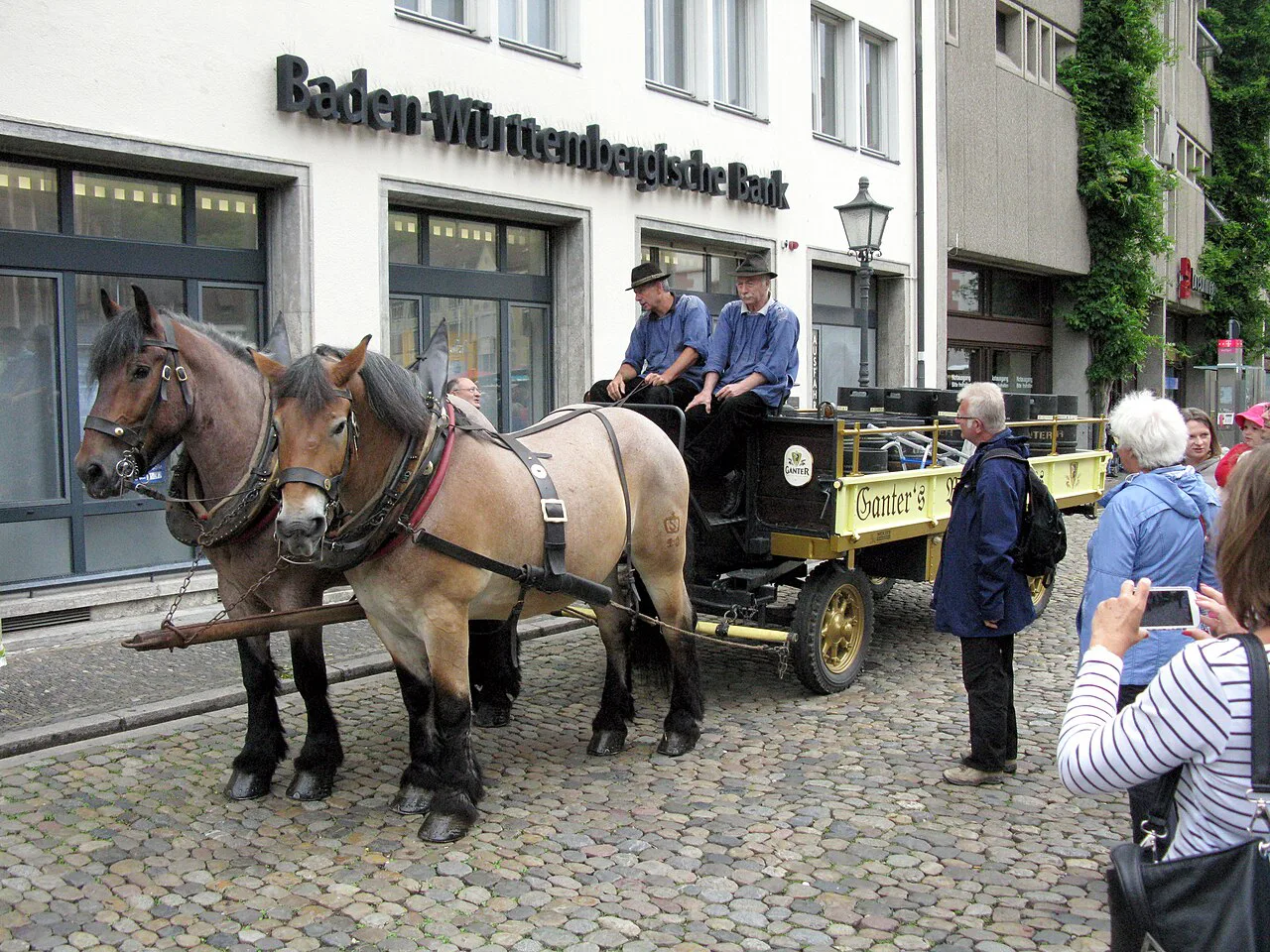 A Ganter brewery horse-drawn cart on Münsterplatz, Freiburg im Breisgau.