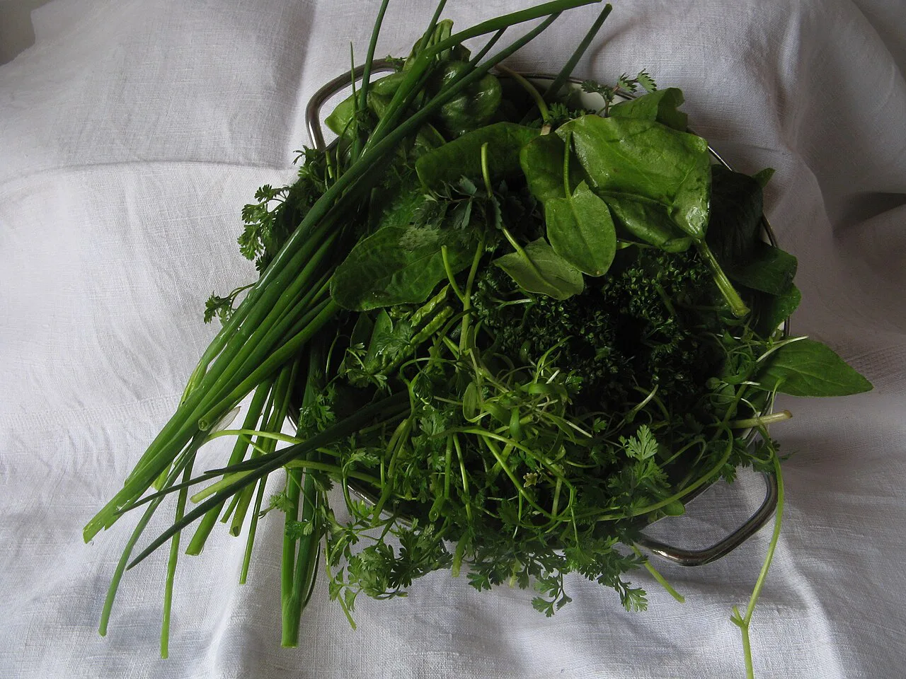 The seven fresh herbs used for Frankfurt green sauce.