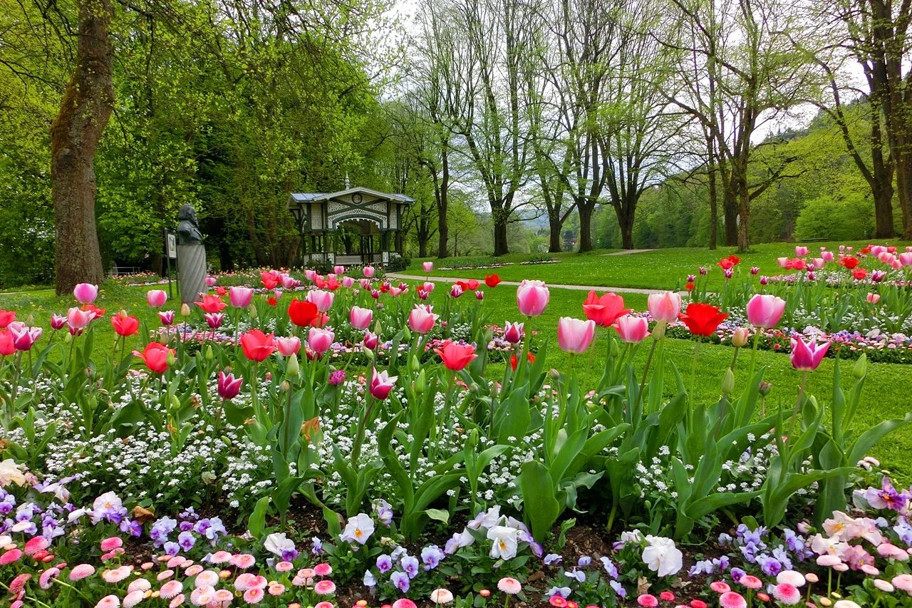 Spring tulip beds along the Lichtentaler Allee in May, Baden-Baden.