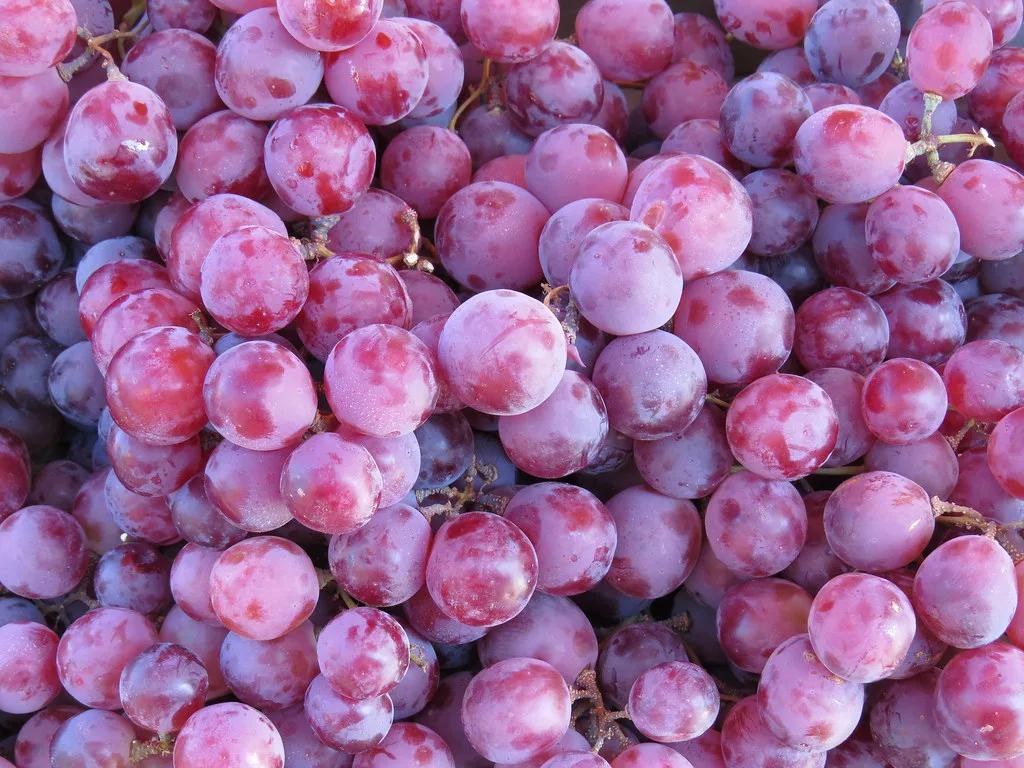 Red grapes at the farmers' market on the Domplatz, Mainz.