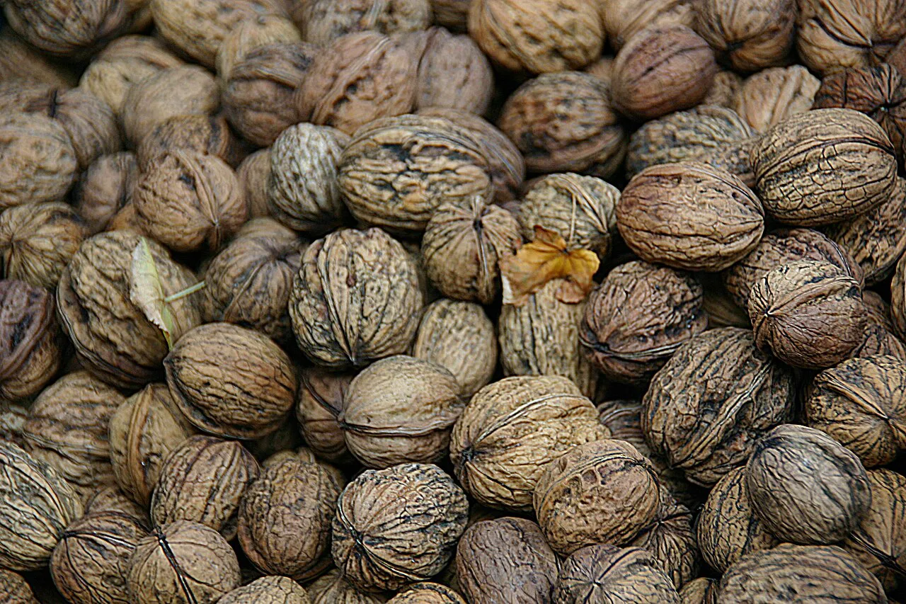 Walnuts for sale at the Münsterplatz market, Freiburg.