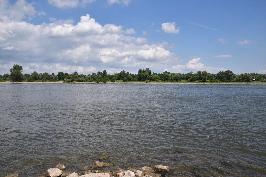 The Rhine River at Bonn.