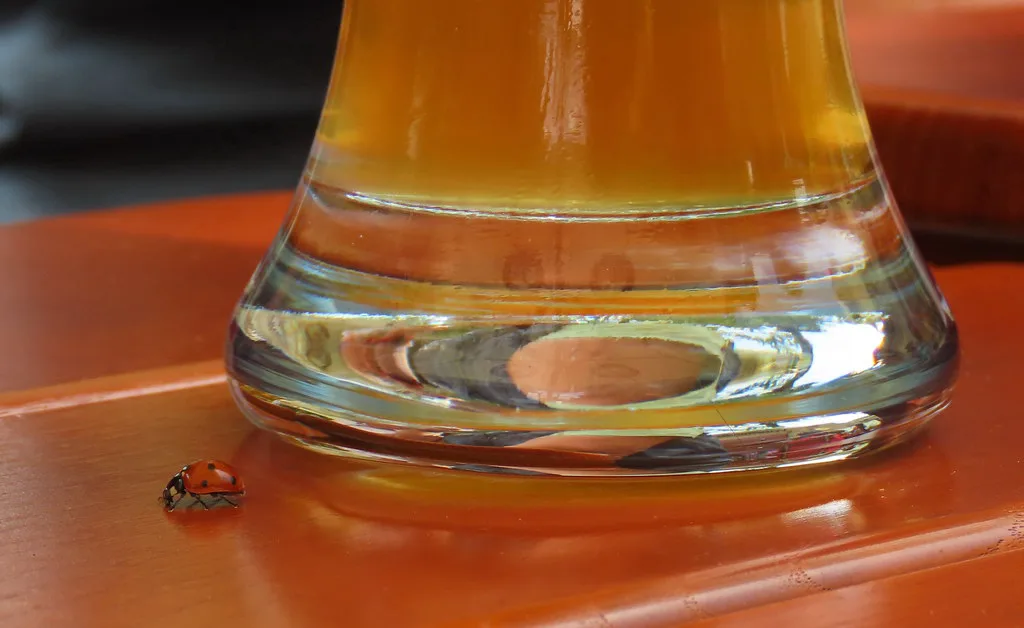 A glass of wheat beer on a table in a sunny beer garden.