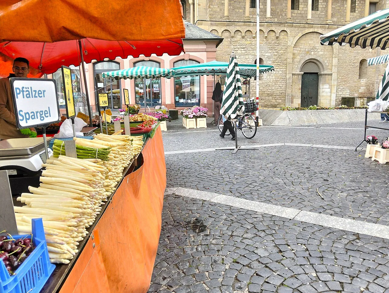 A white asparagus stall at the market by Mainz Cathedral.